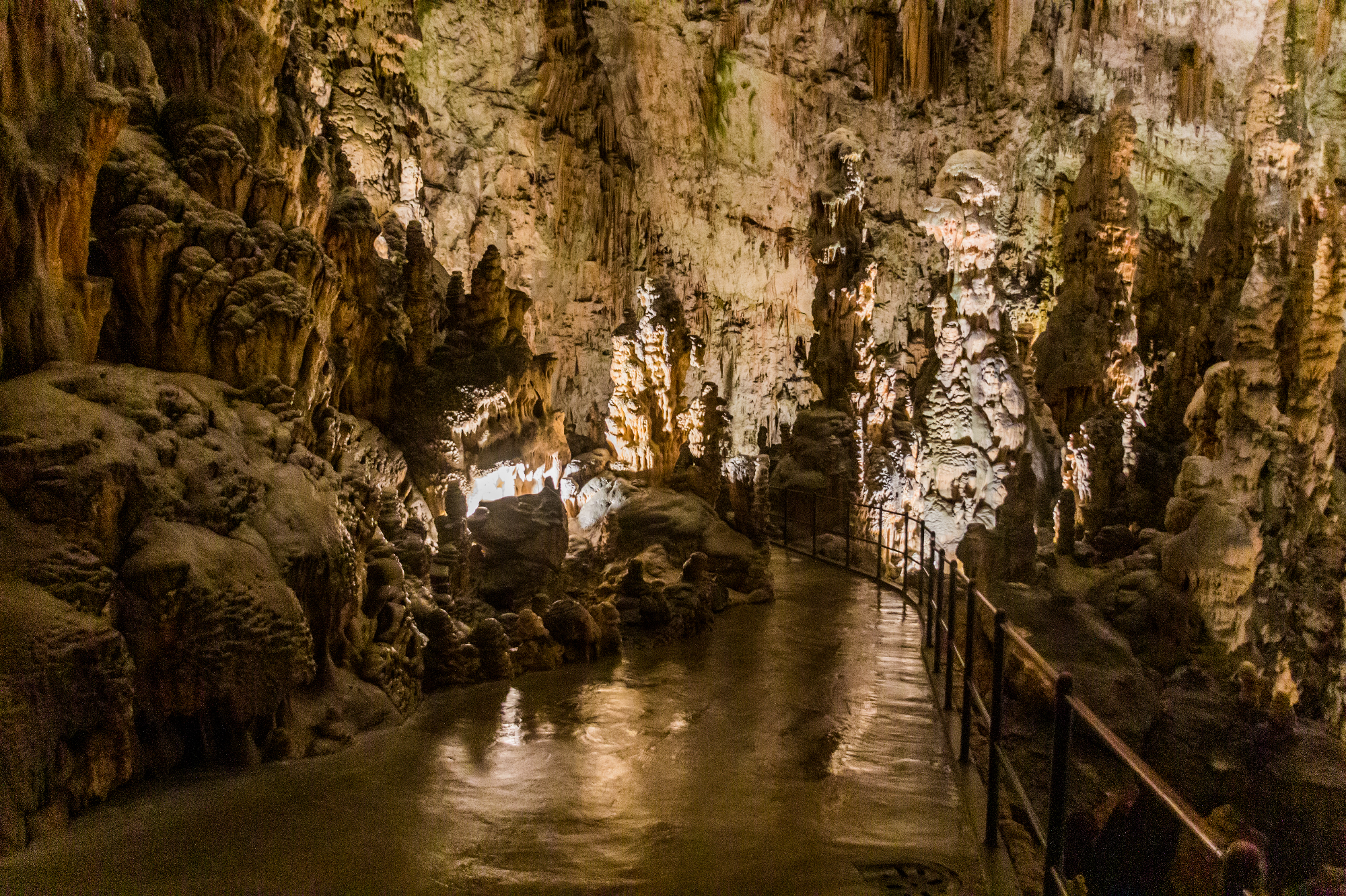 Postojnska jama je privlačna za turiste iz celega sveta